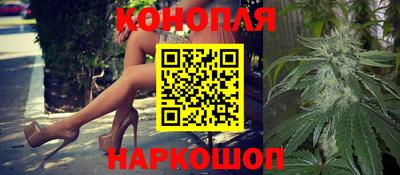мяу мяу мука Кандалакша