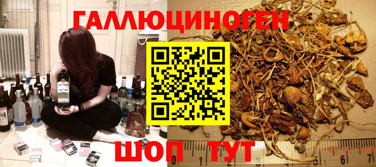Черкесск  Псилоцибиновые грибы прущие грибы  Вход с VPN  Псилоцибиновые грибы MAGIC MUSHROOMS 